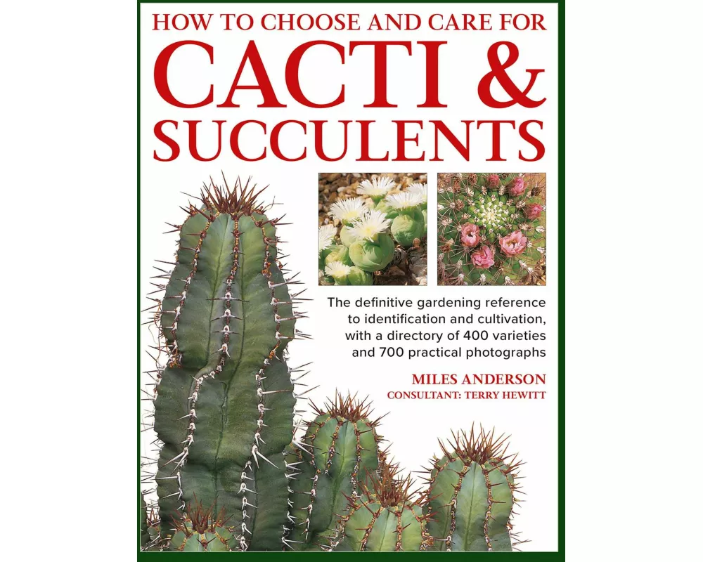 Cacti & Succulents, How to Choose and Care for