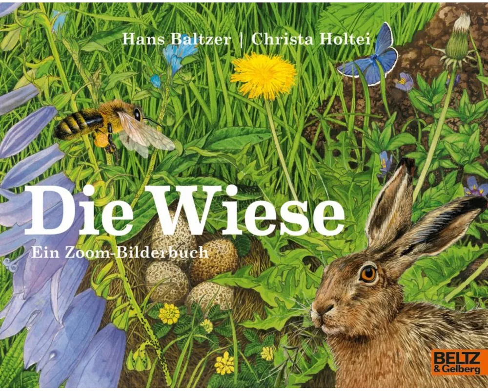 Die Wiese