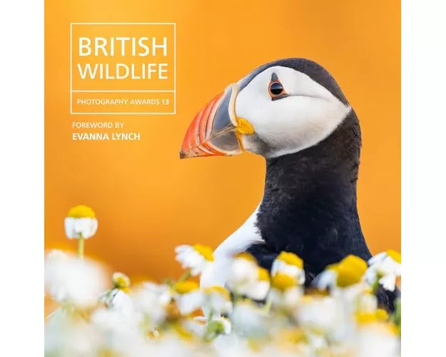 British Wildlife Photography Awards 13