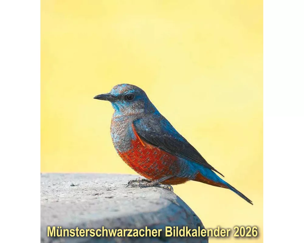 Münsterschwarzacher Bildkalender 2026
