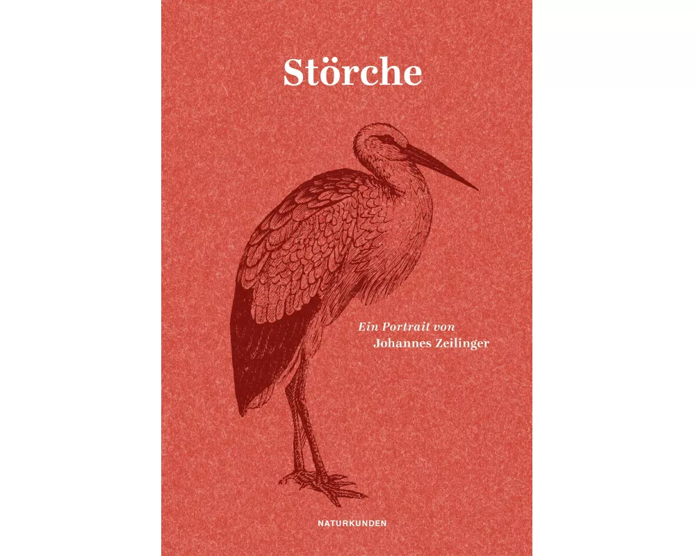 Störche