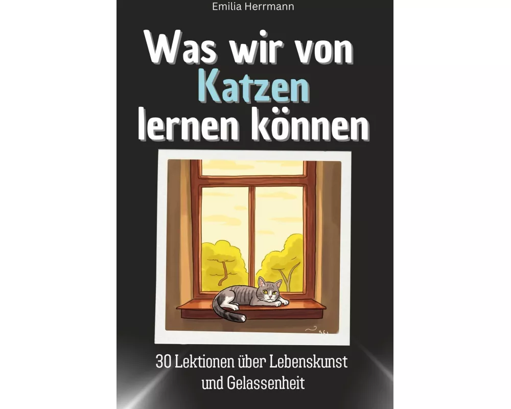 Was wir von Katzen lernen können