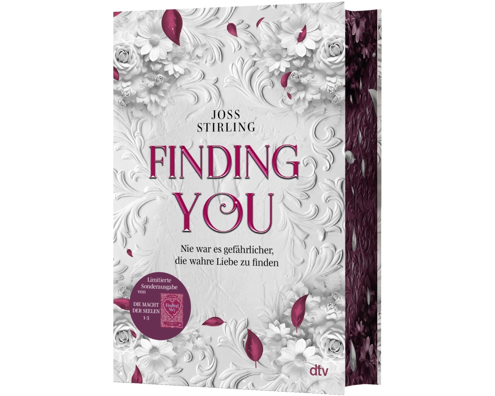 Finding You – Die Macht der Seelen
