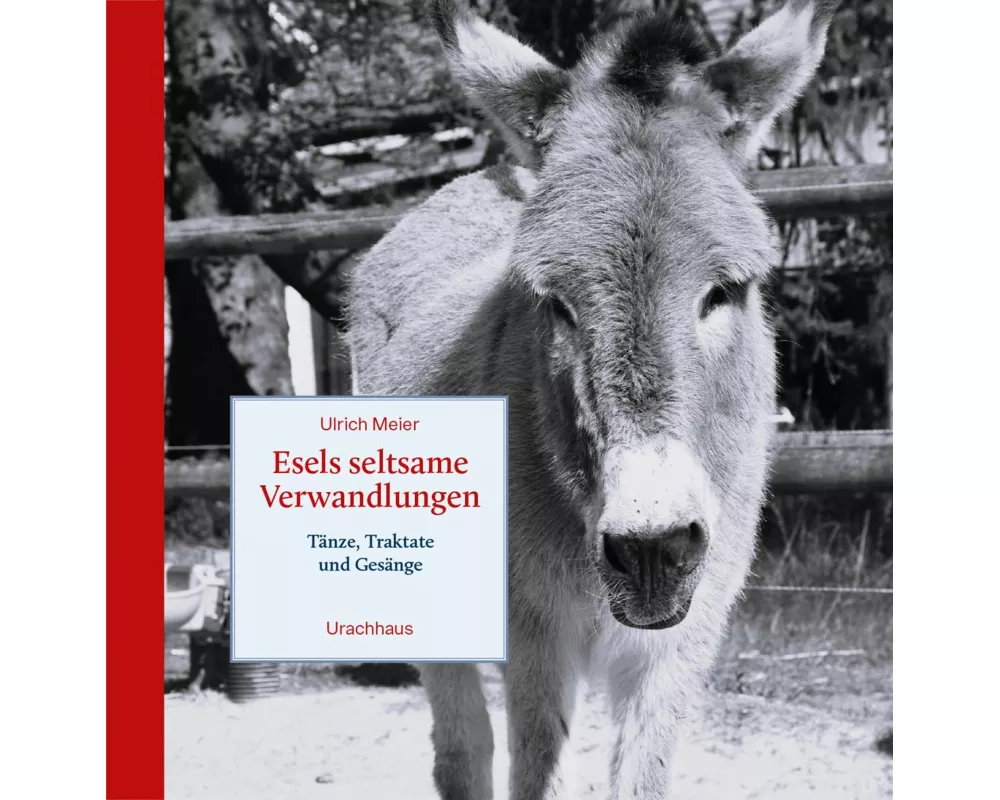 Esels seltsame Verwandlungen