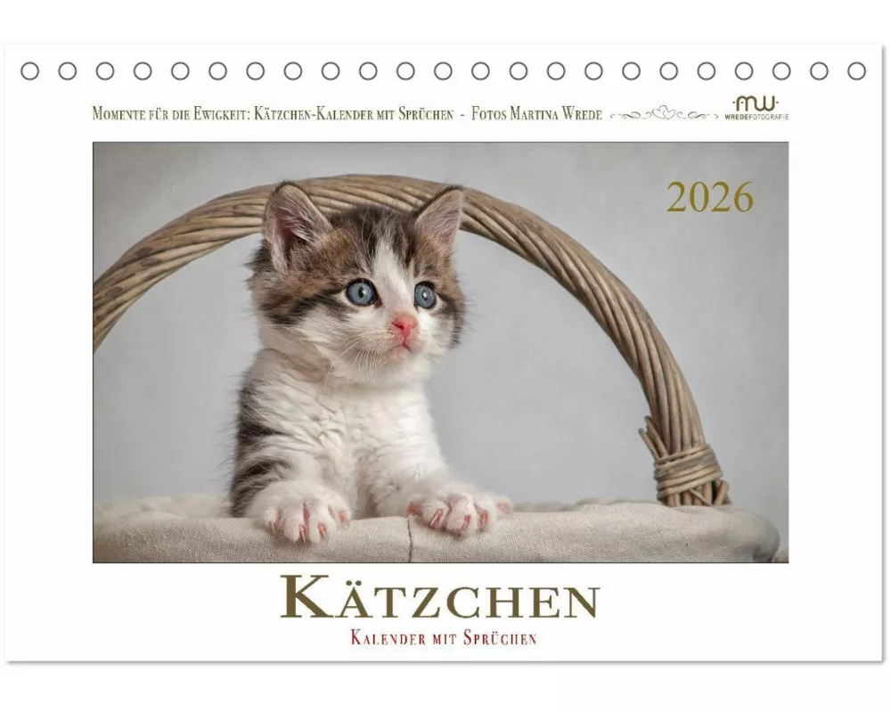 Kätzchen-Kalender mit Sprüchen (Tischkalender 2026 DIN A5 quer), CALVENDO Monatskalender