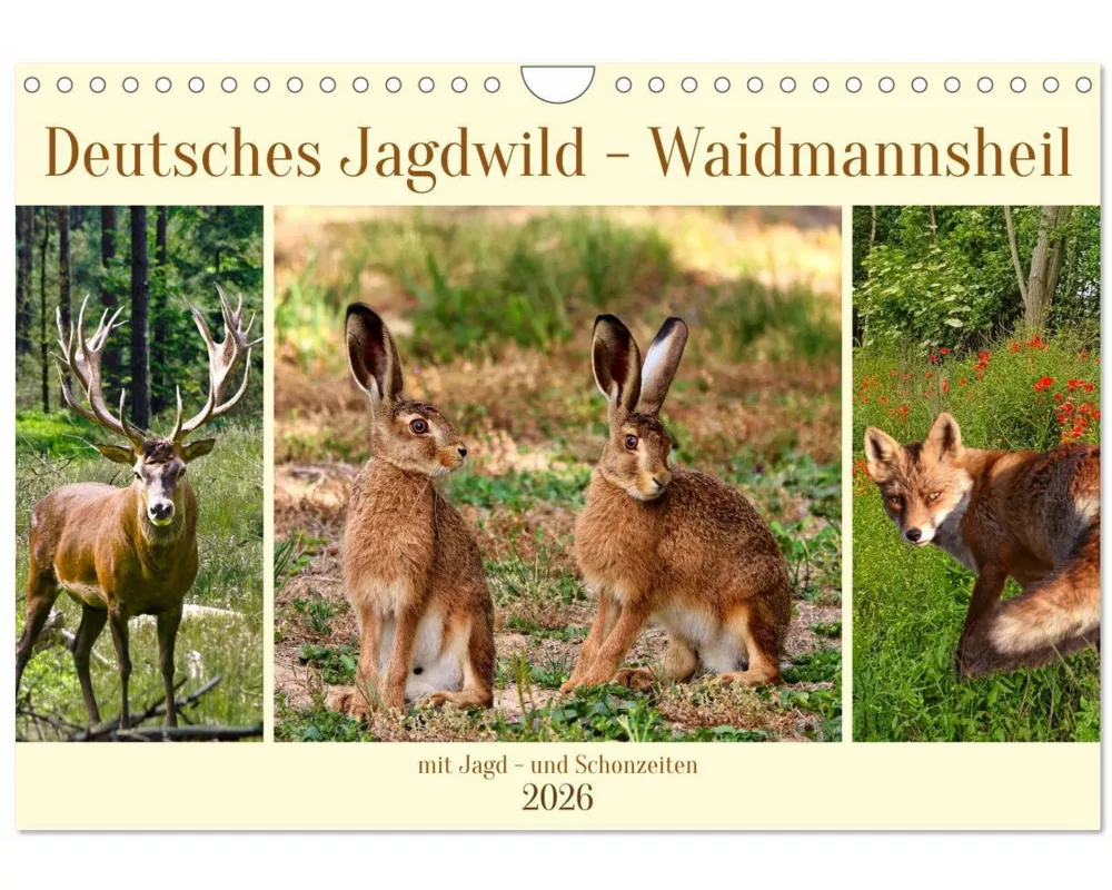Deutsches Jagdwild - Waidmannsheil (Wandkalender 2026 DIN A4 quer), CALVENDO Monatskalender
