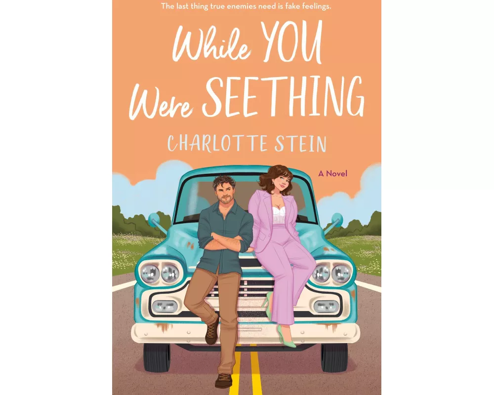 While You Were Seething