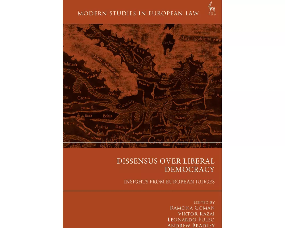 Dissensus over Liberal Democracy