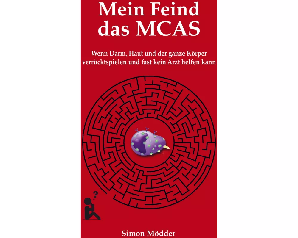 Mein Feind das MCAS