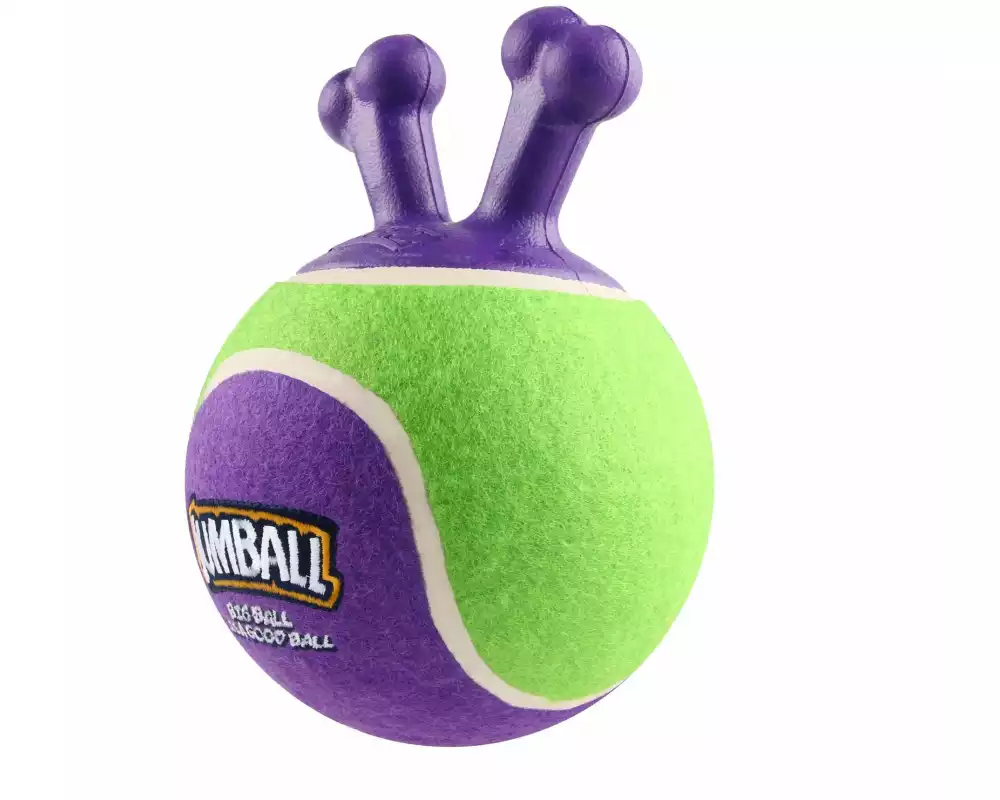 GiGwi Hunde-Spielzeug Jumpball, Tennis Ball, Grün/Violett