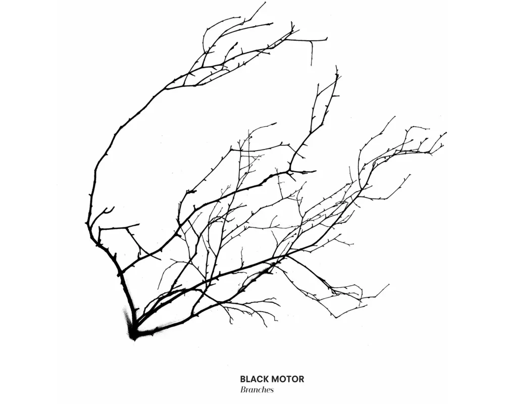 Branches