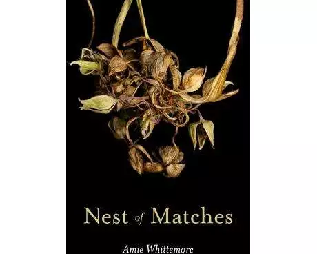 Nest of Matches