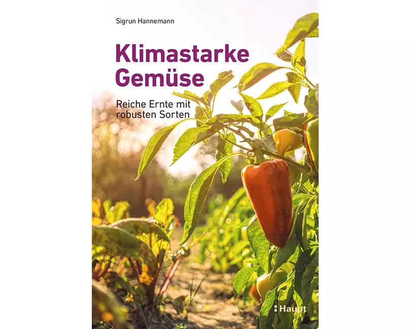 Klimastarke Gemüse