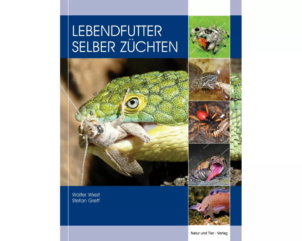 Lebendfutter selber züchten