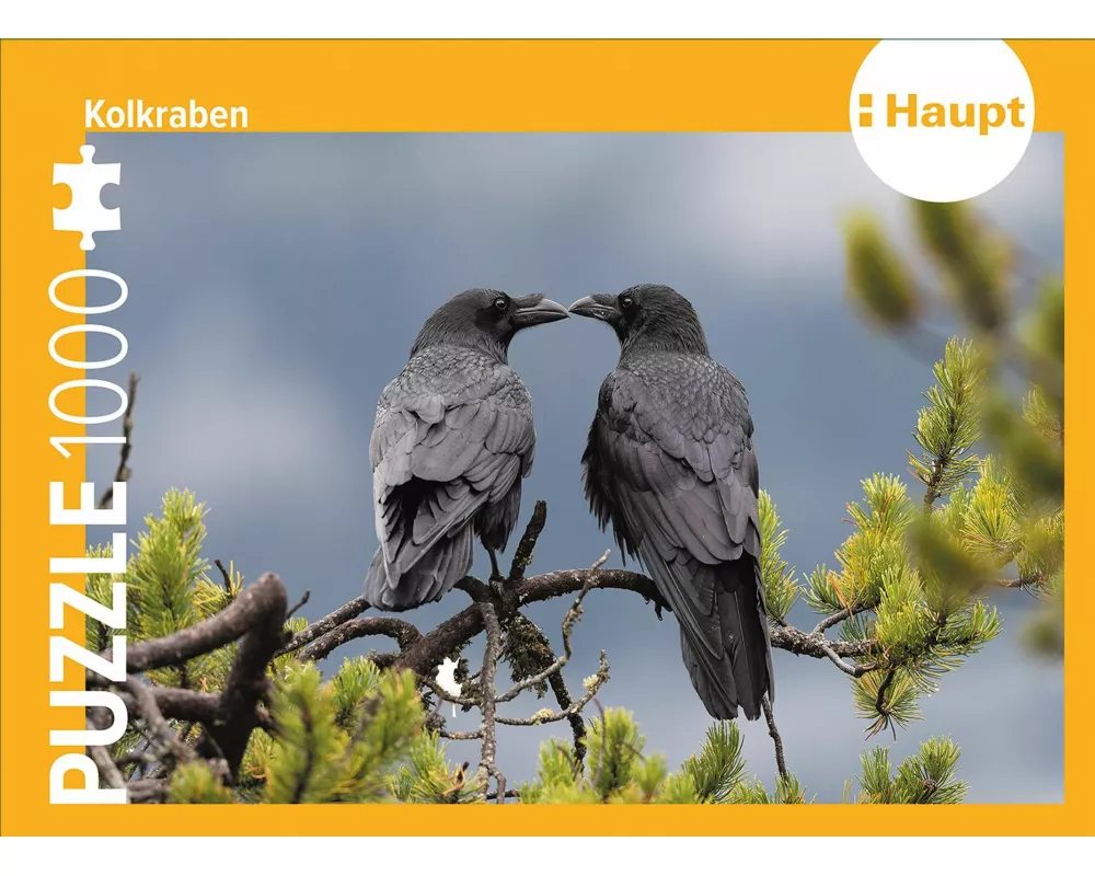 Kolkraben – Puzzle