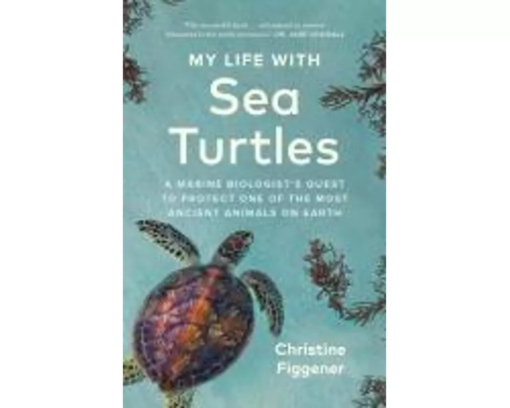 My Life with Sea Turtles