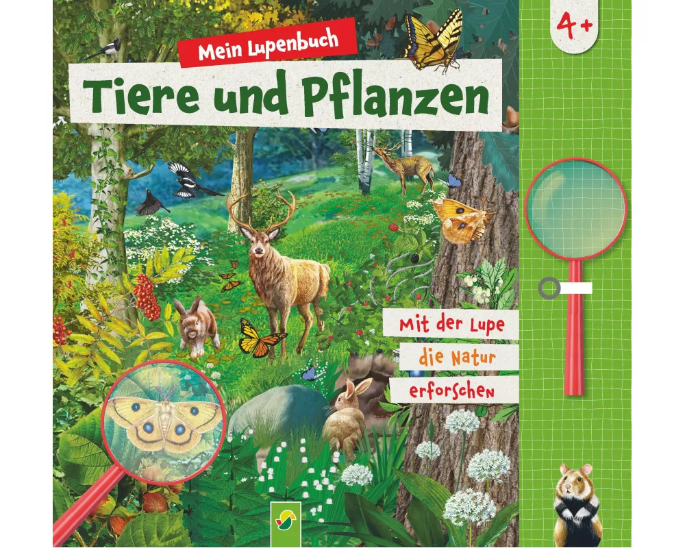 Mein Lupenbuch Tiere und Pflanzen