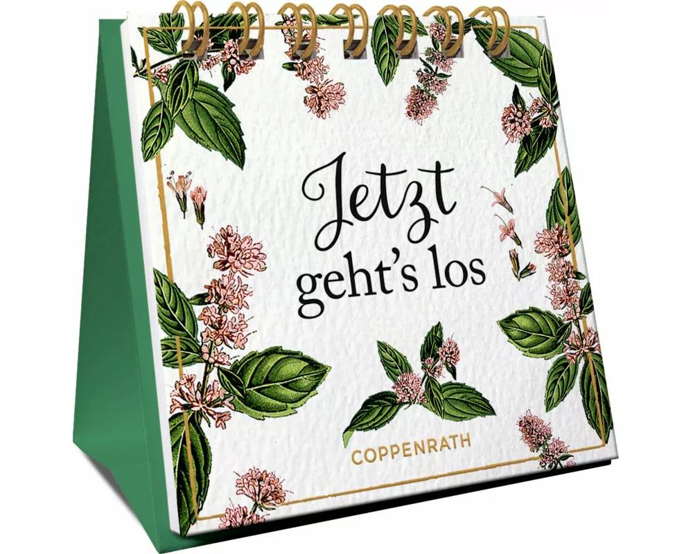 Jetzt geht's los