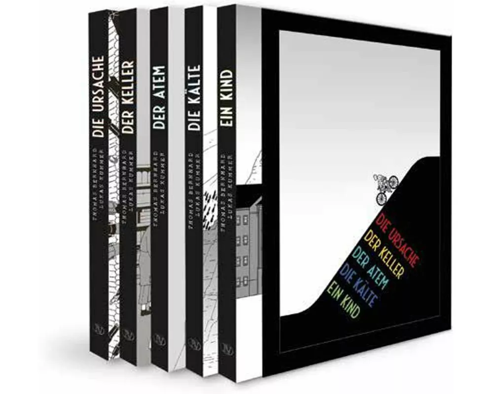 Die Autobiographie als Graphic Novel