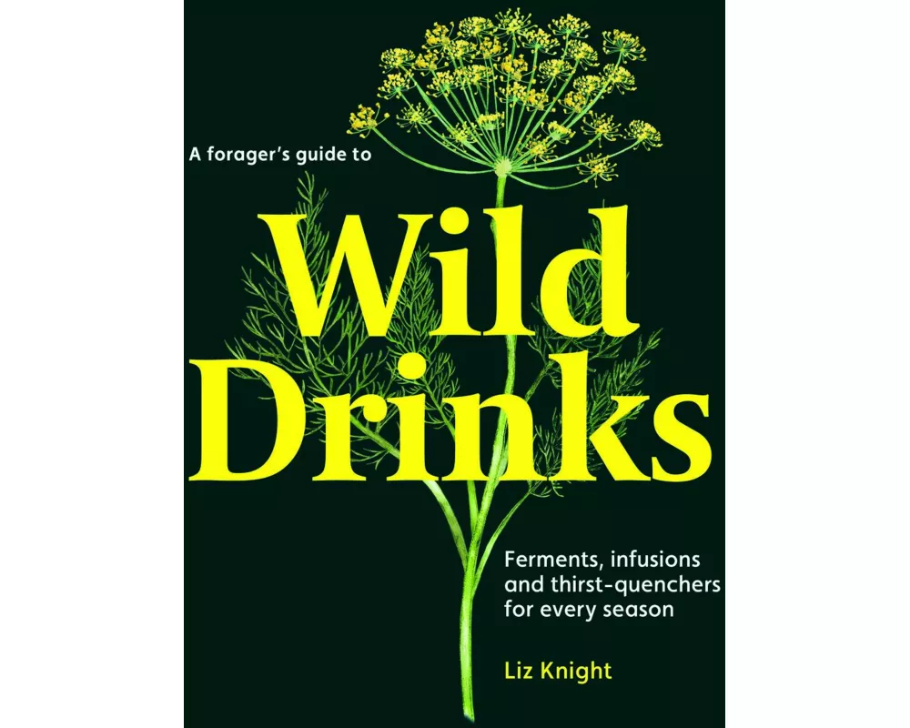A Forager's Guide to Wild Drinks