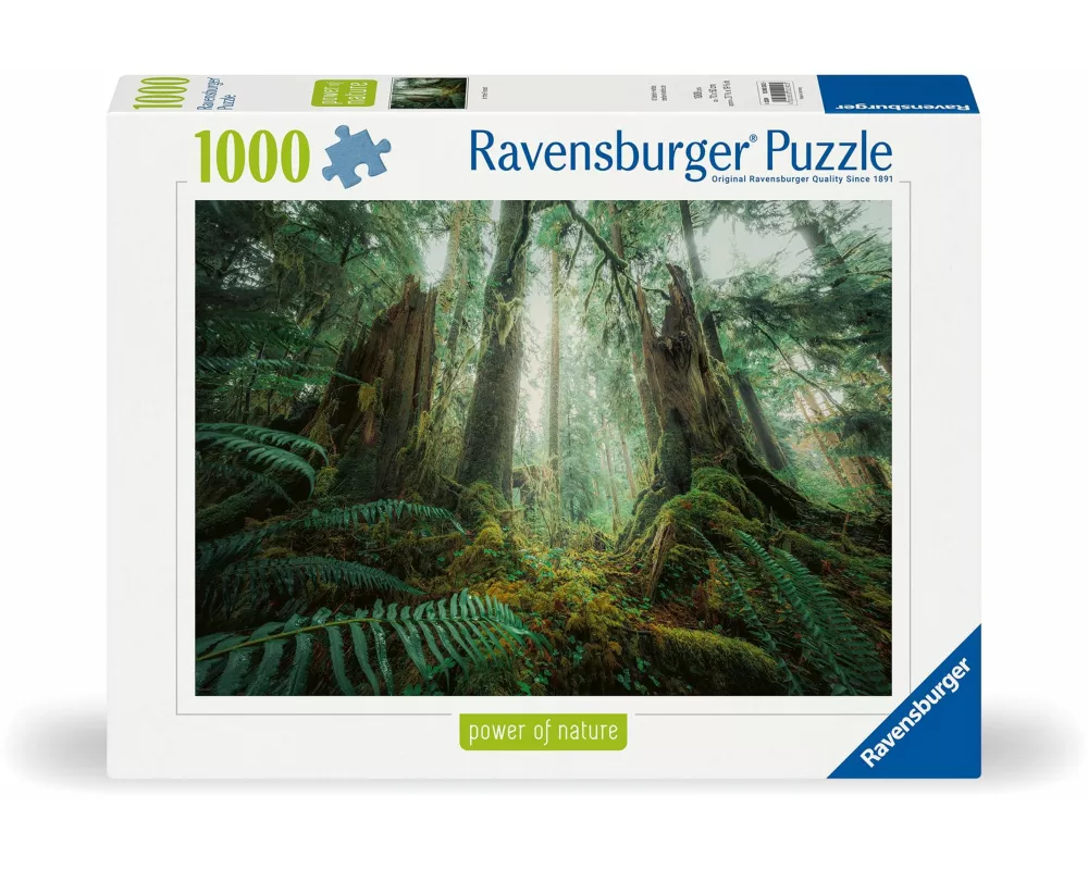 Erwachsenenpuzzle 1000 Teile - Faszinierender Wald