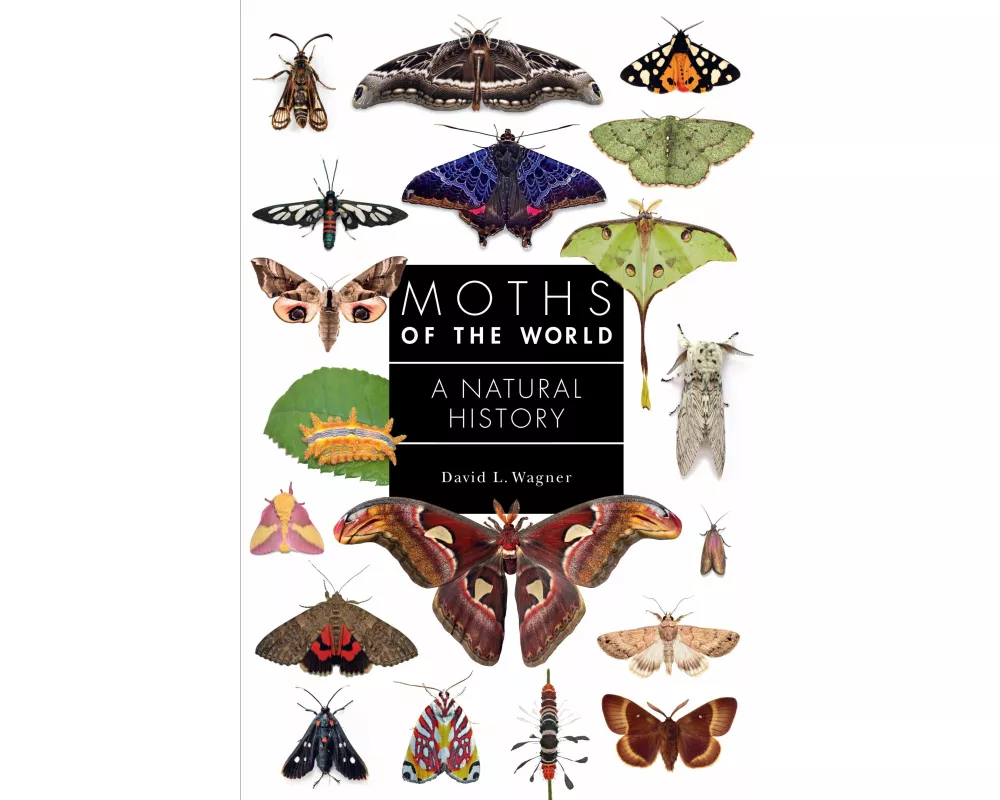 Moths of the World