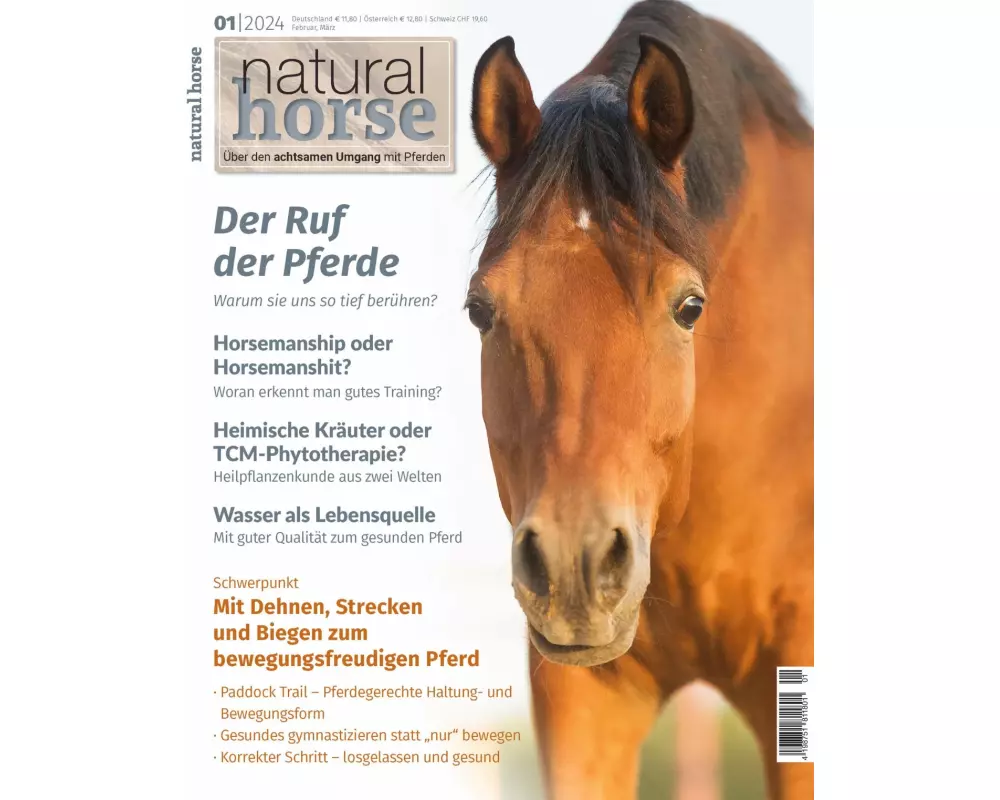 Natural Horse 49