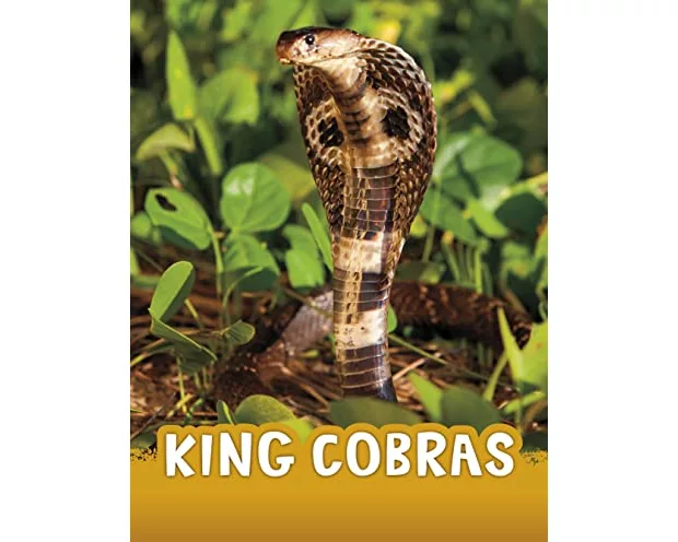 King Cobras
