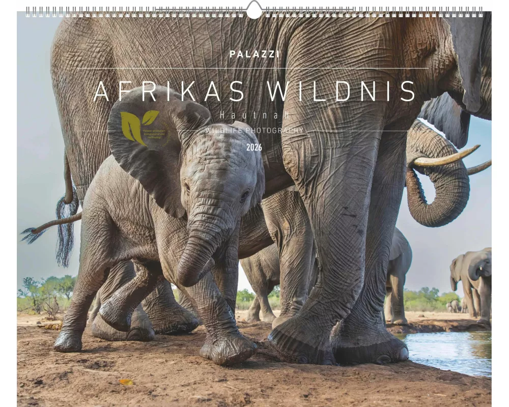 Palazzi - Hautnah – Afrikas Wildnis 2026 – Wandkalender 60×50 cm mit 12 Tierfotografien, Poster-Kalender mit Wildtieren & humorvollen Bildunterschrift
