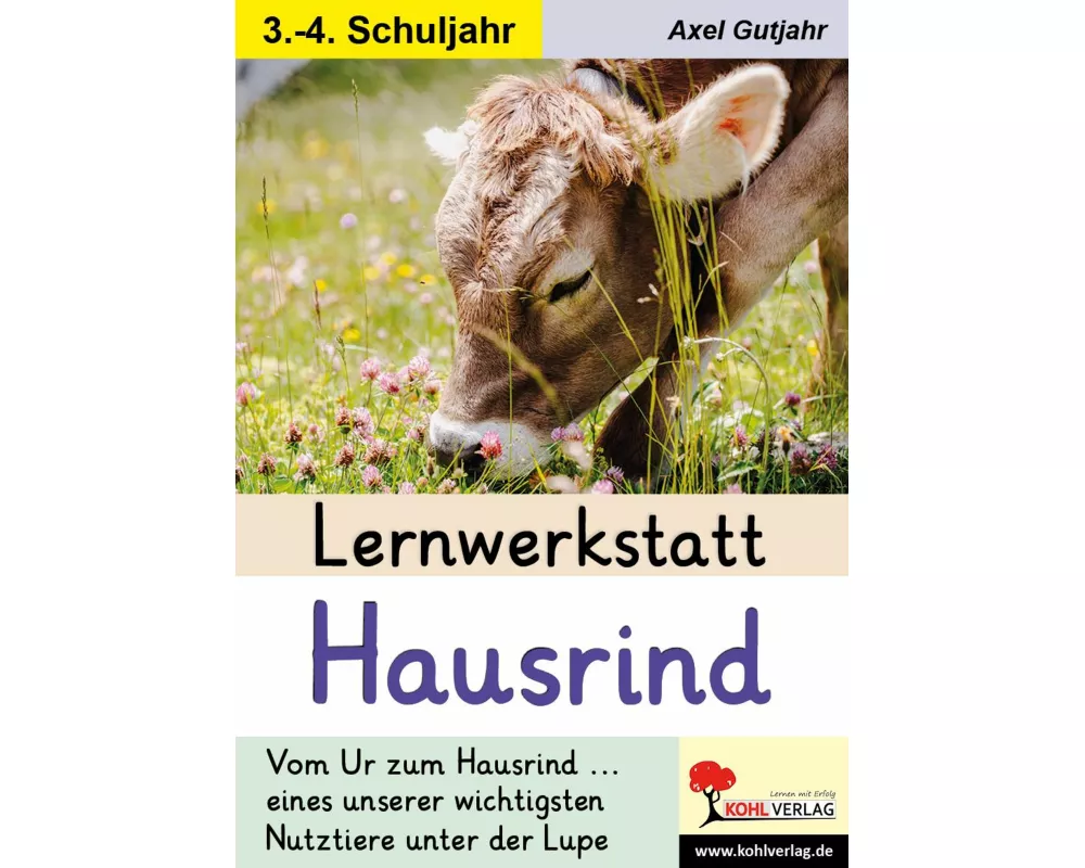 Lernwerkstatt Hausrind