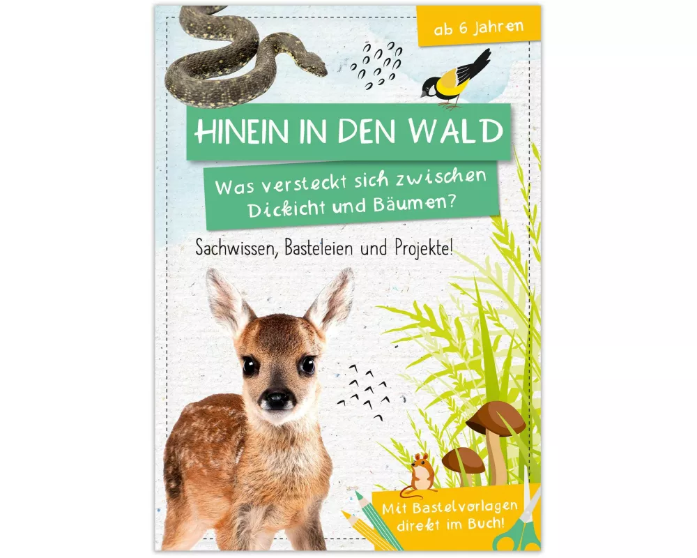 Activity Heft: Hinein in den Wald - Was versteckt sich zwischen Dickicht und Bäumen?