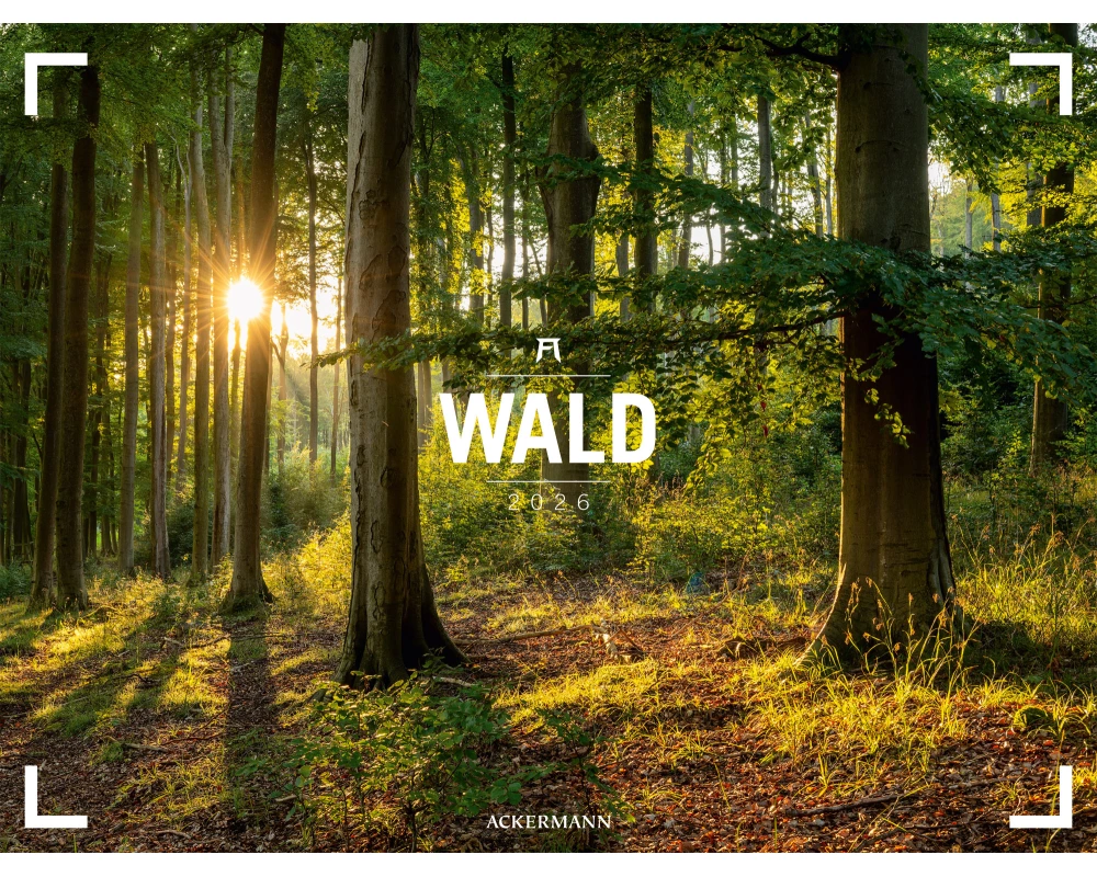 Wald Gallery Kalender 2026