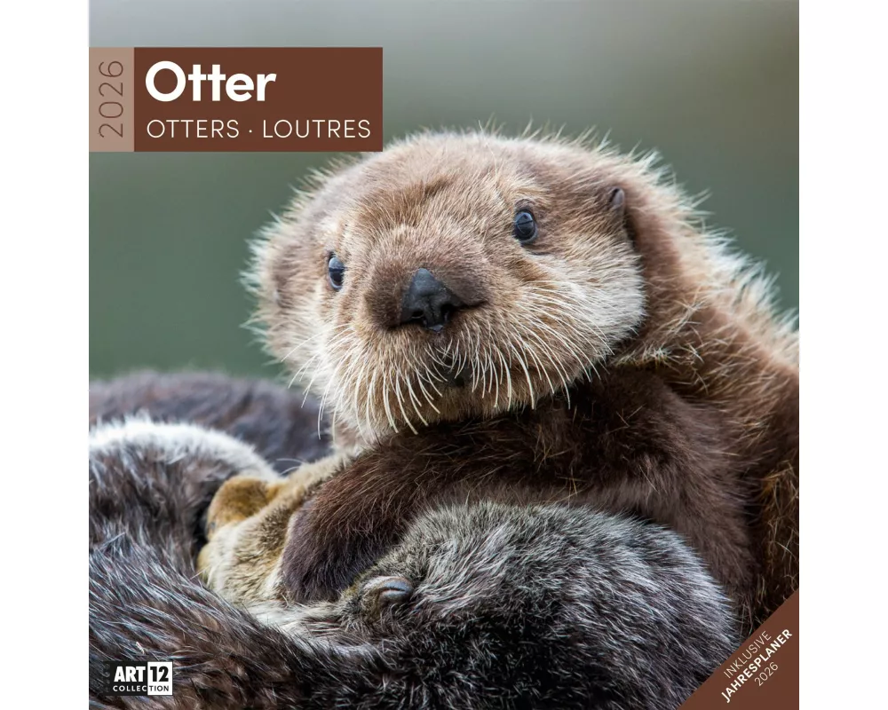 Otter Broschürenkalender 2026 - 30x30 - Art12