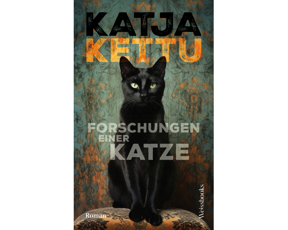 Forschungen einer Katze