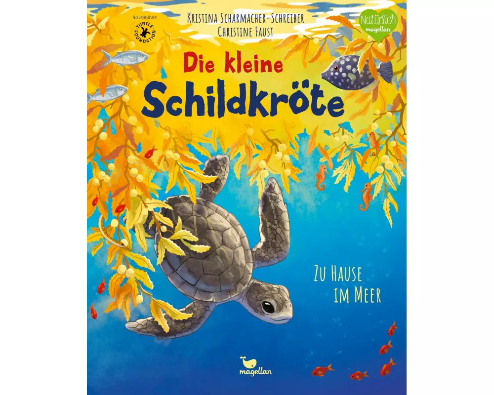 Die kleine Schildkröte - Zu Hause im Meer