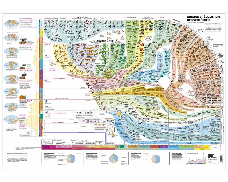 Wirbeltieratlas (Poster)