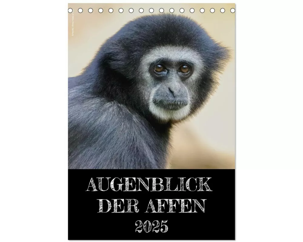 Augenblick der Affen 2025 (Tischkalender 2025 DIN A5 hoch), CALVENDO Monatskalender