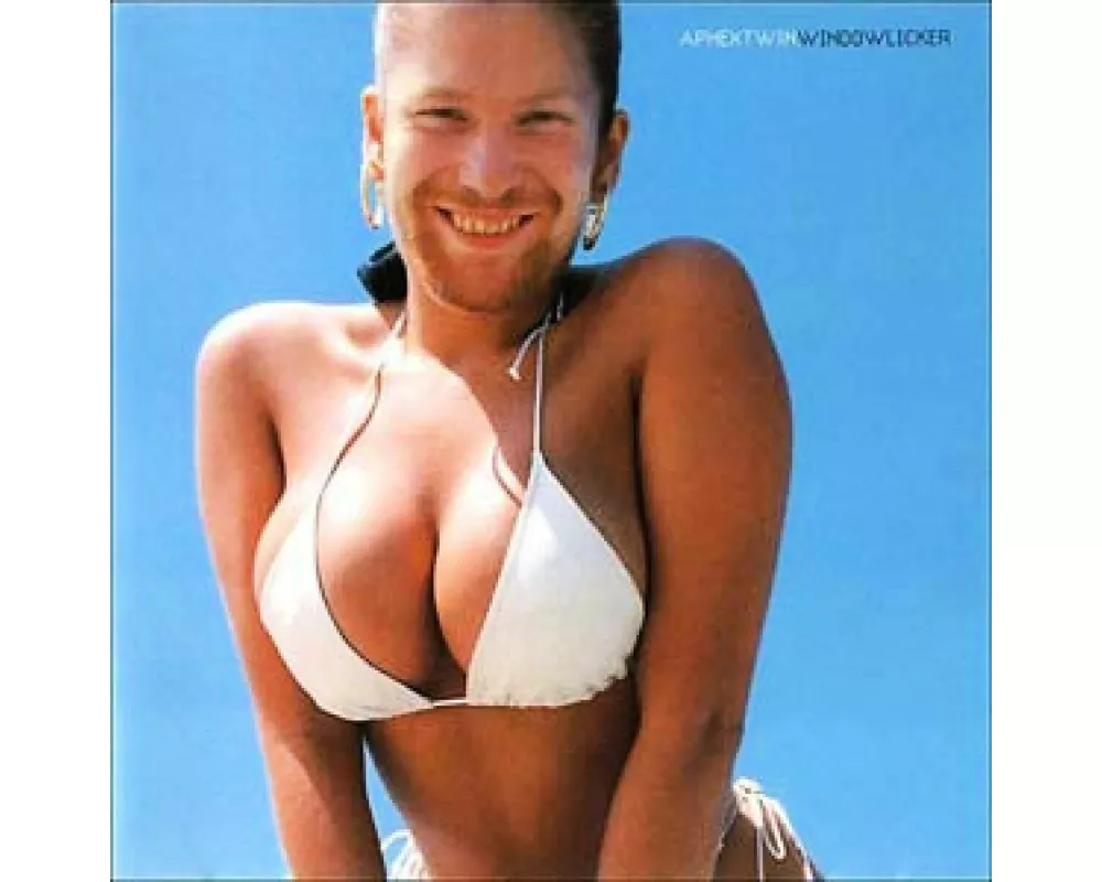 Windowlicker