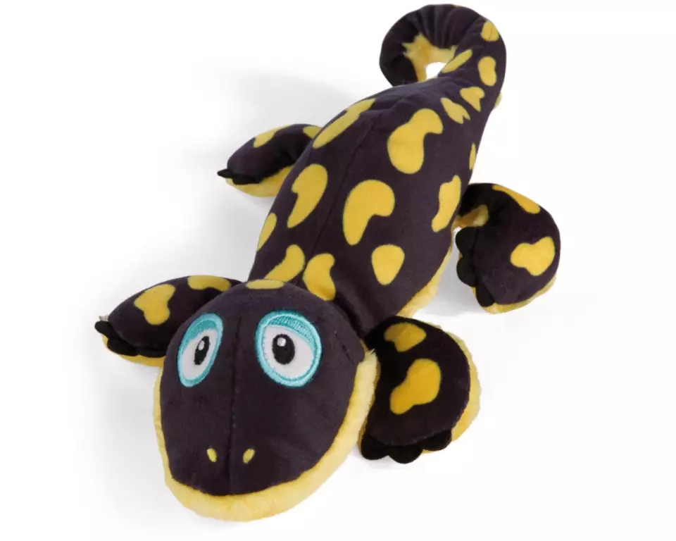 Nici Green Plüsch Salamander Don Fuego liegend 25 cm