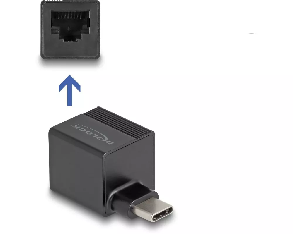 Delock Netzwerk-Adapter mini USB Typ-C