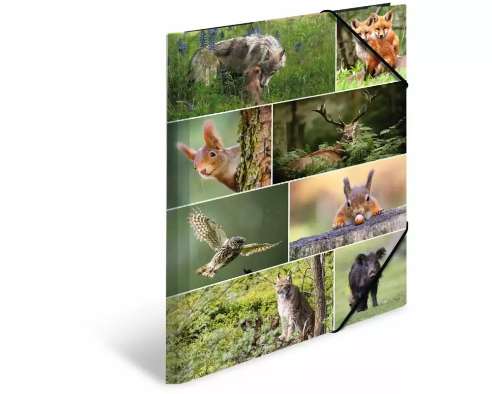 HERMA Gummibandmappe Waldtiere A3, Mehrfarbig