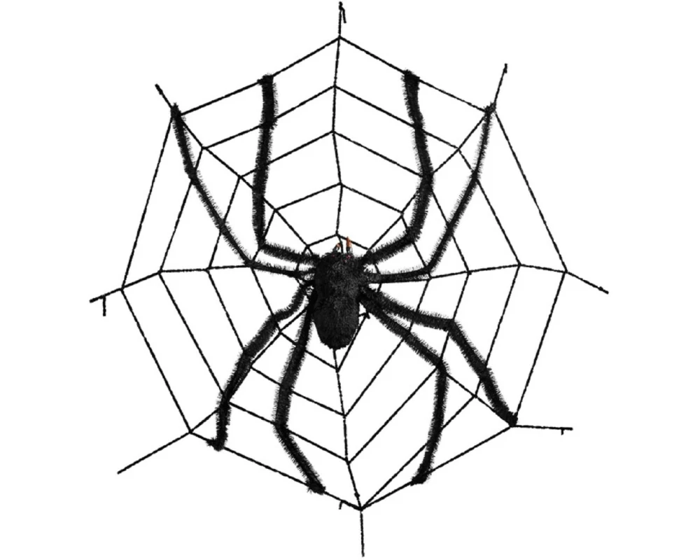 Dekomat AG Spinnennetz mit Spinne, Kunststoff, Ø 150 cm