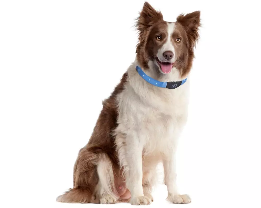 Karlie Leuchtring Visio Light LED Langhaar, gelb