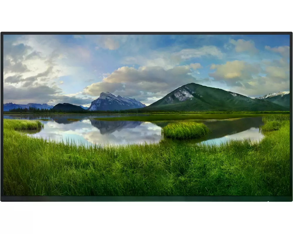 Dell Monitor P2425HE WOST ohne Standfuss