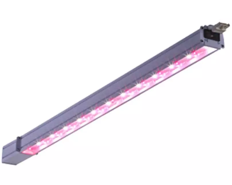 Lighting Technologies Aufbauleuchte Plantador 36W, 2800 lm, 1m, IP54, DALI, FS