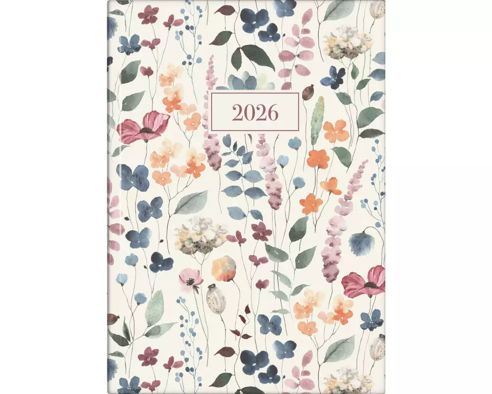 rido idé Tagesagenda Design Line Watercolor 2026