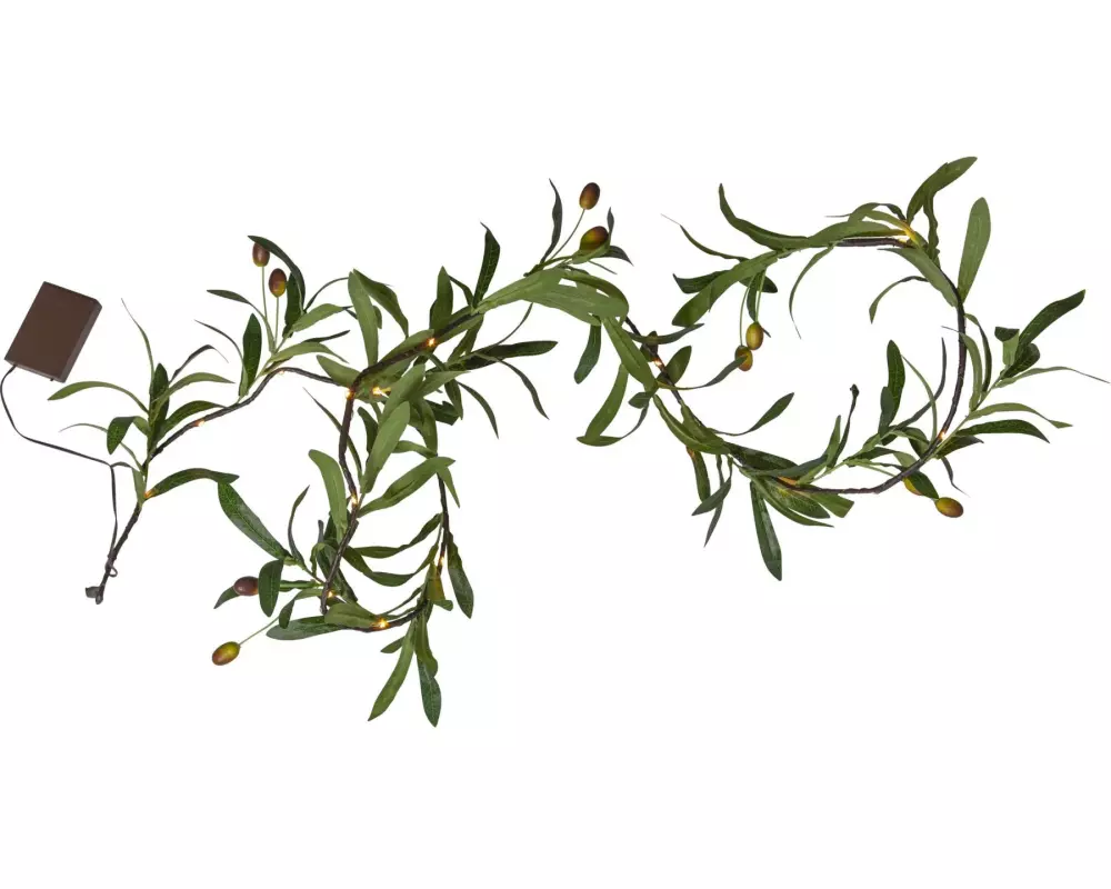 Star Trading Girlande Olivec, 20 LEDs, 1.8 m, Grün