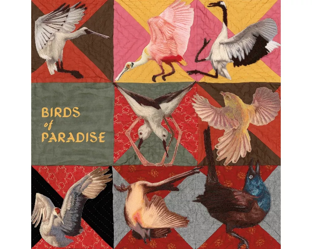 Birds of Paradise