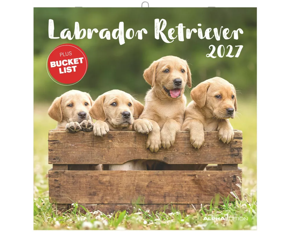Labrador Retriever 2027