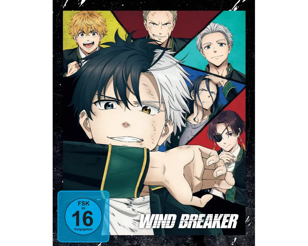 Wind Breaker - Staffel 1 - Vol.1 - [DVD] mit Sammelschuber